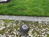 image of grave number 855926